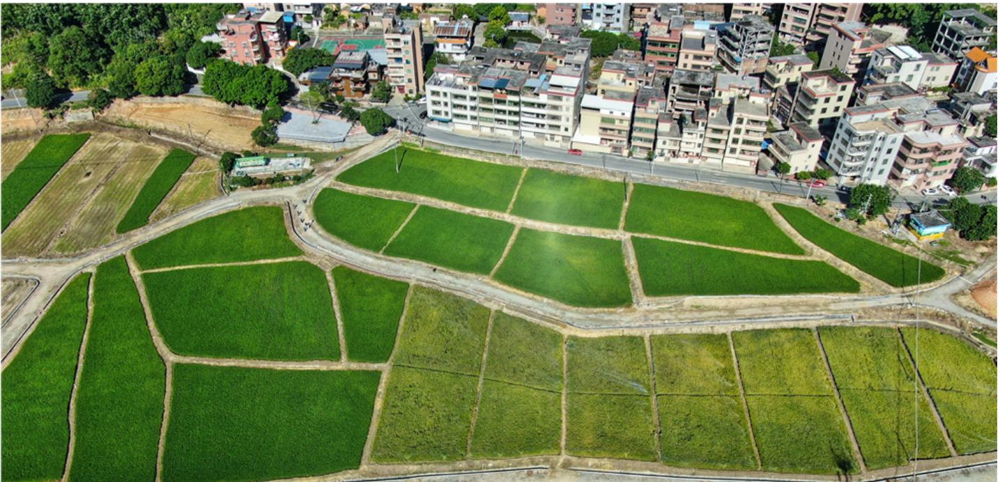 一川公司最新動態(tài)更新