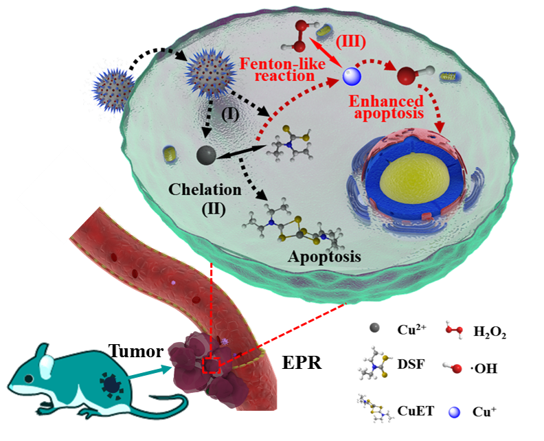 美國(guó)腎病治療重大突破，希望之光照亮前行之路