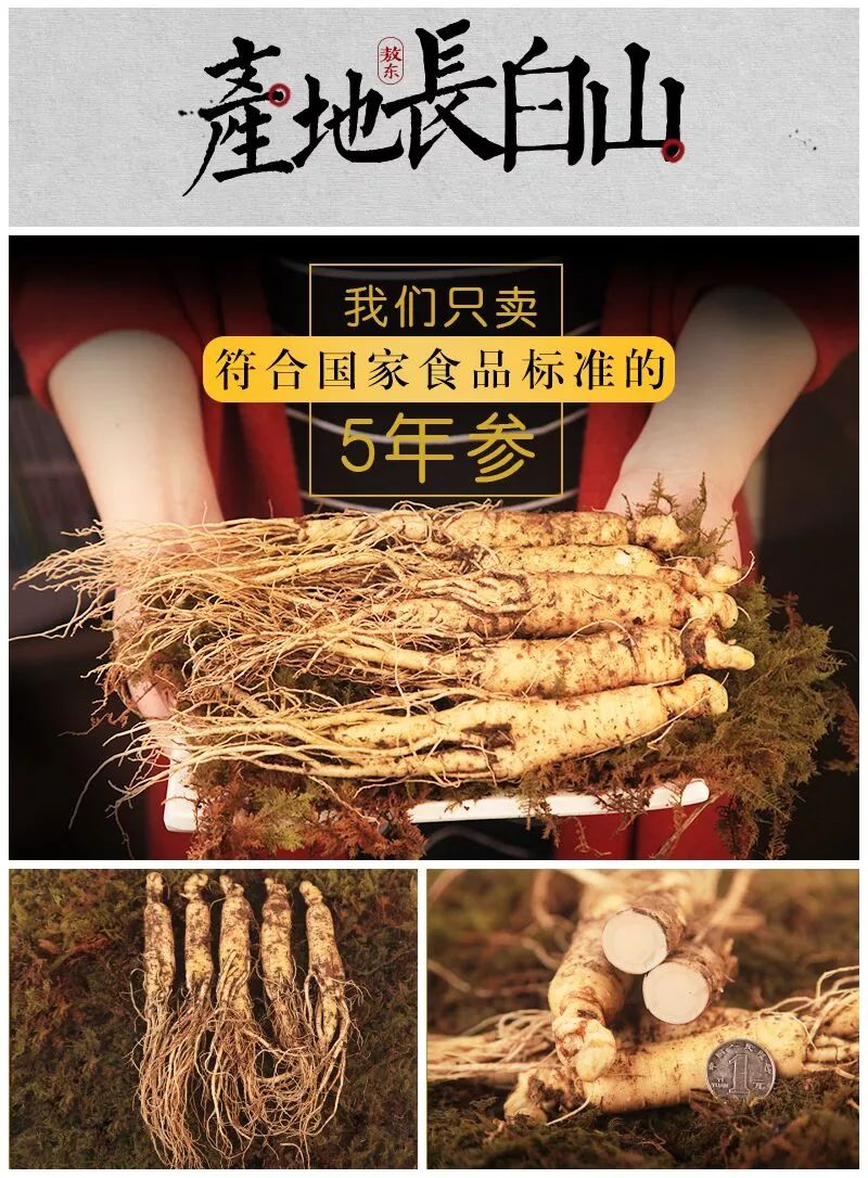 探尋鮮人參價格，自然之旅與內(nèi)心寧靜的交融