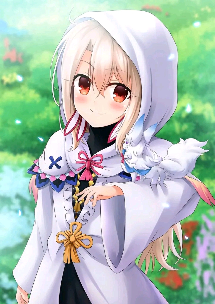 動漫蘿莉，多元審美下的角色探析