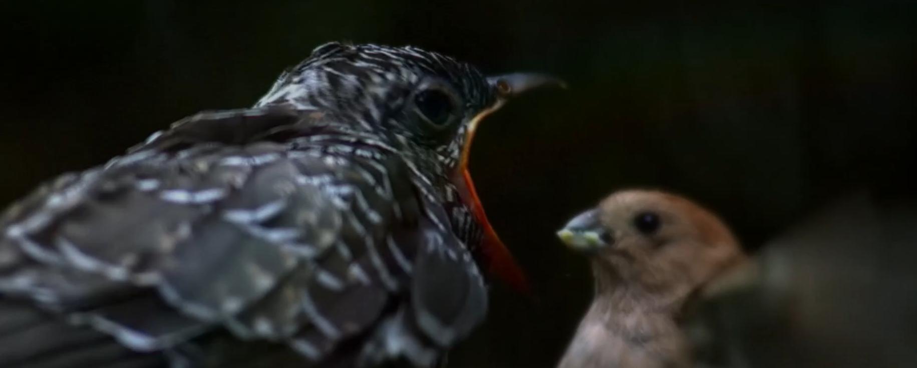 近期熱門電影排行榜一覽，走進(jìn)光影世界的盛宴