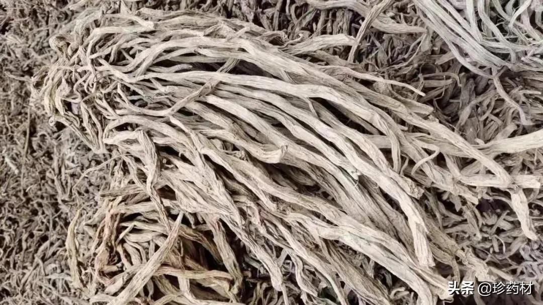 覆盆子行情揭秘，小紅果的奇跡與成長之路