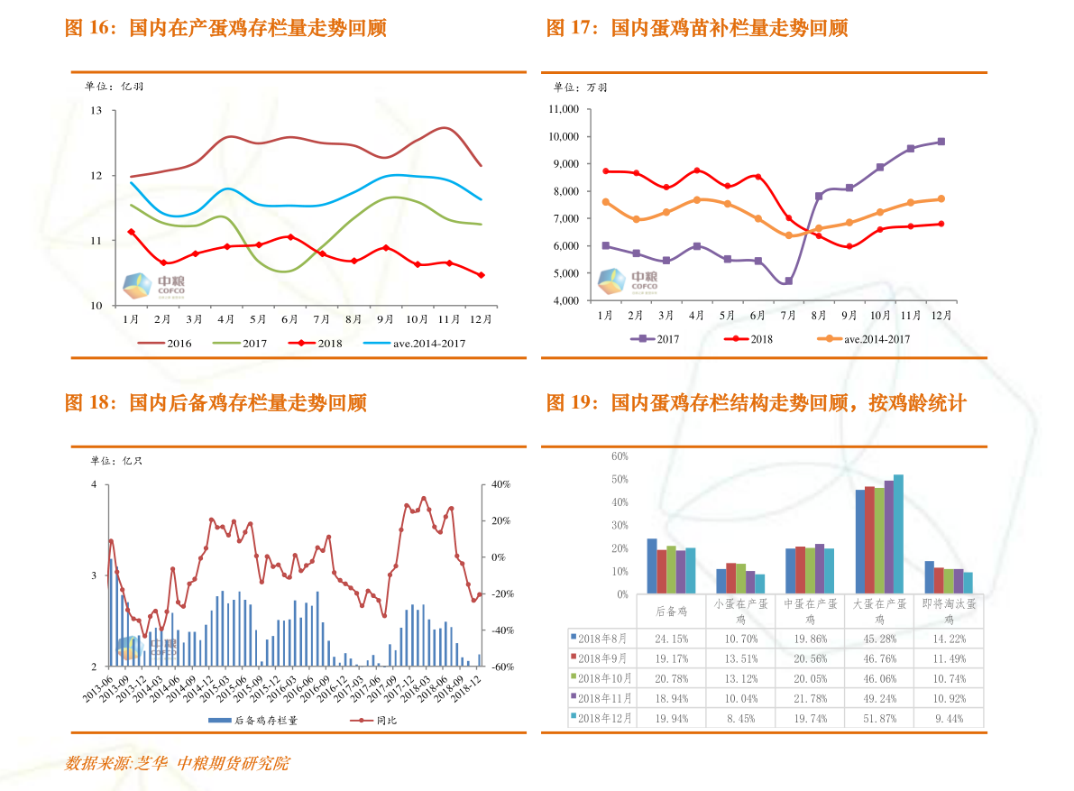 遠光軟件股票最新動態(tài)，時代變遷的見證者