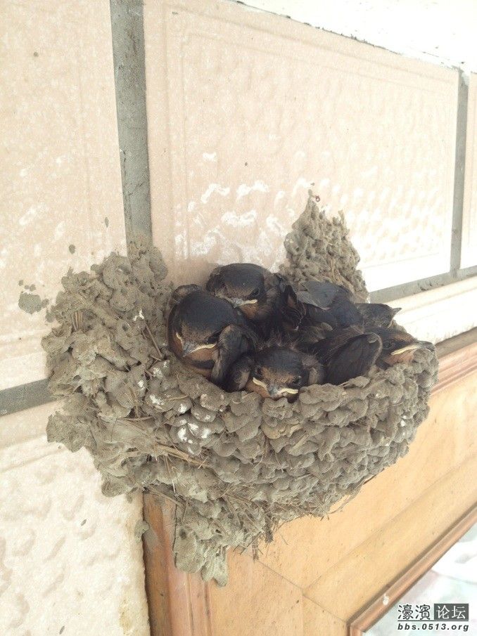 子窩最新資訊,子窩最新資訊