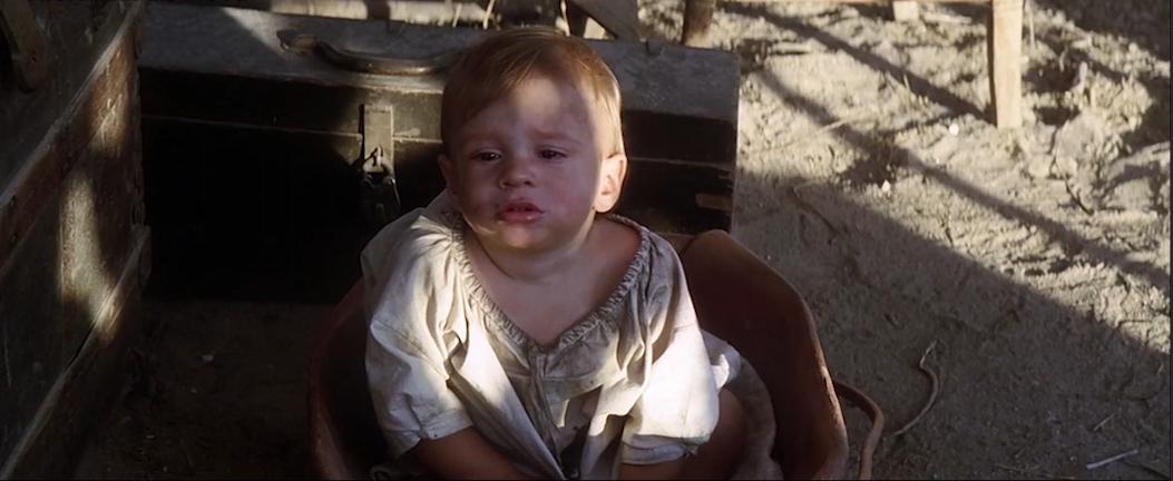 電影眼睛，自然美景的旅行之旅