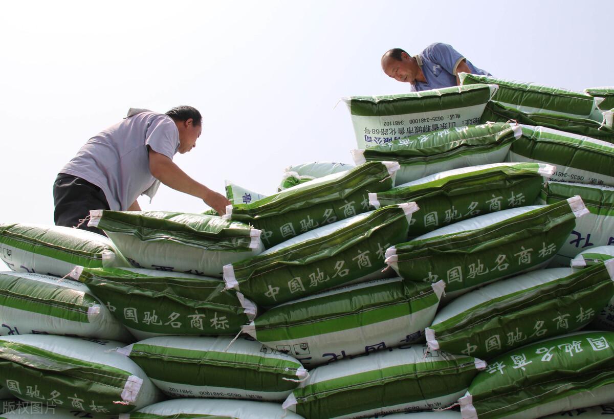 中國化肥網(wǎng)化肥價格行情，時代變遷與市場的波動影響