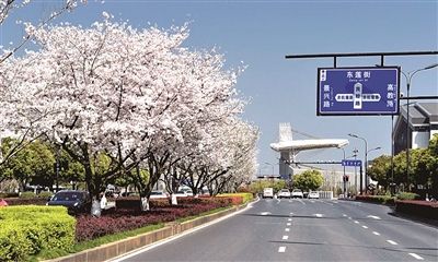 良睦路動(dòng)態(tài)，完成任務(wù)或?qū)W習(xí)技能的詳細(xì)步驟指南