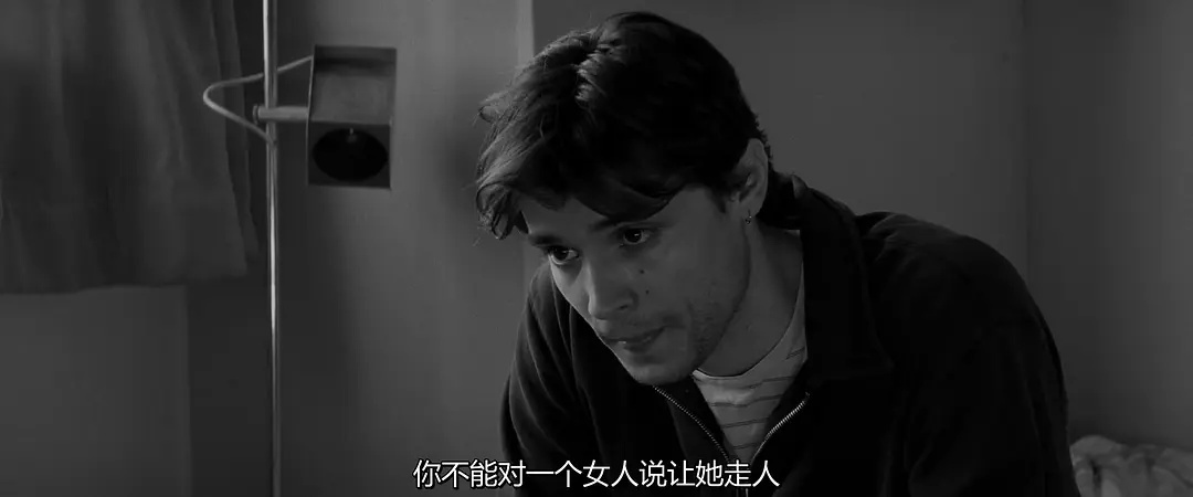 一日情人電影，探尋極致浪漫邂逅體驗