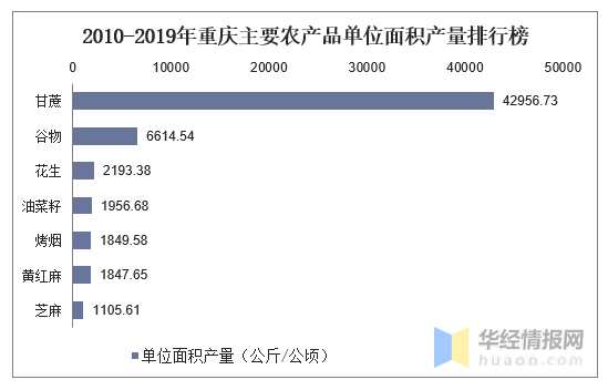 重慶農(nóng)產(chǎn)品市場行情深度探索，巷弄中的鮮味秘境