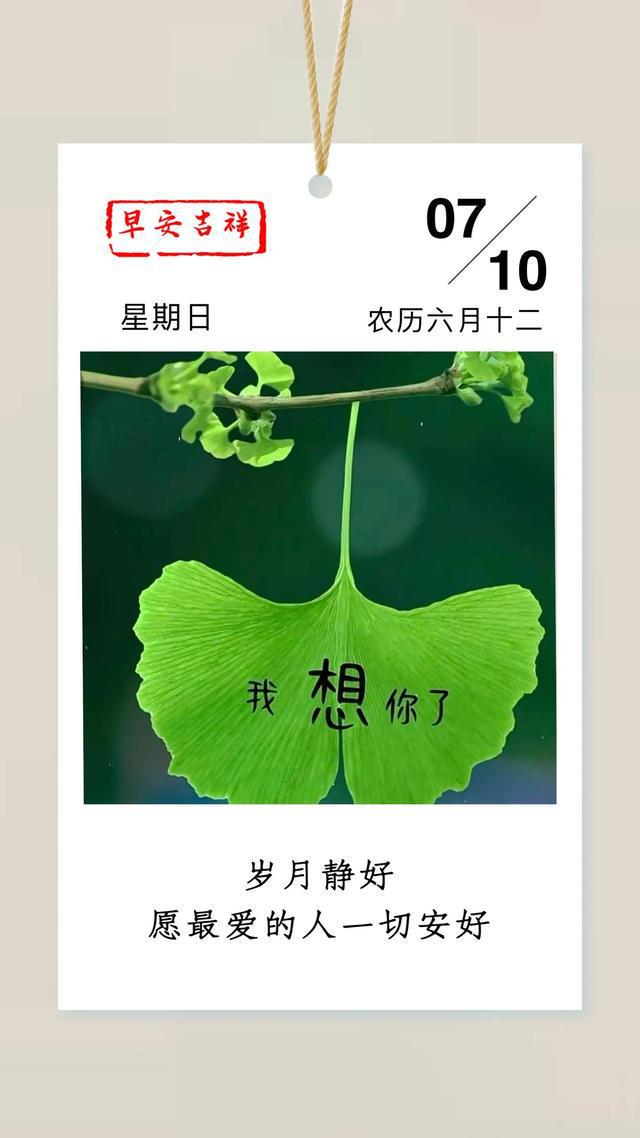 每日清晨寄語，開啟全新一天的美好寄語