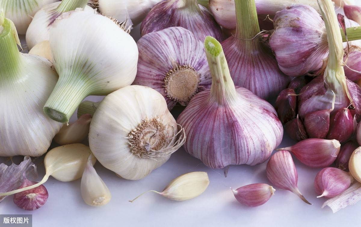 絞胎陶瓷工藝品銷售 第296頁