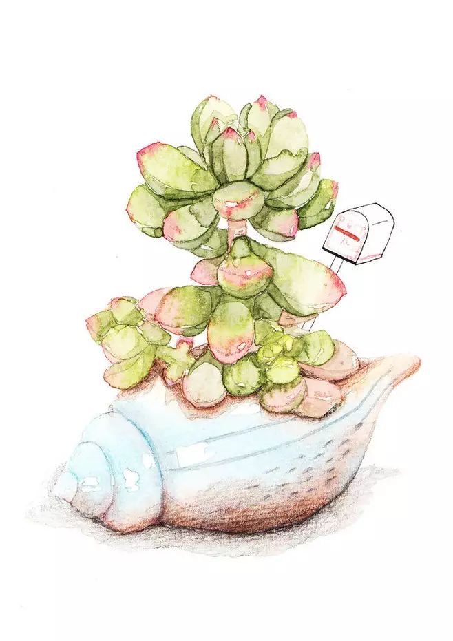 動漫多肉，小巷綠意樂園的夢幻之旅