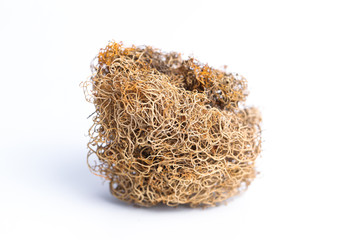 紅雪茶價(jià)格,紅雪茶價(jià)格，購買指南與考慮因素