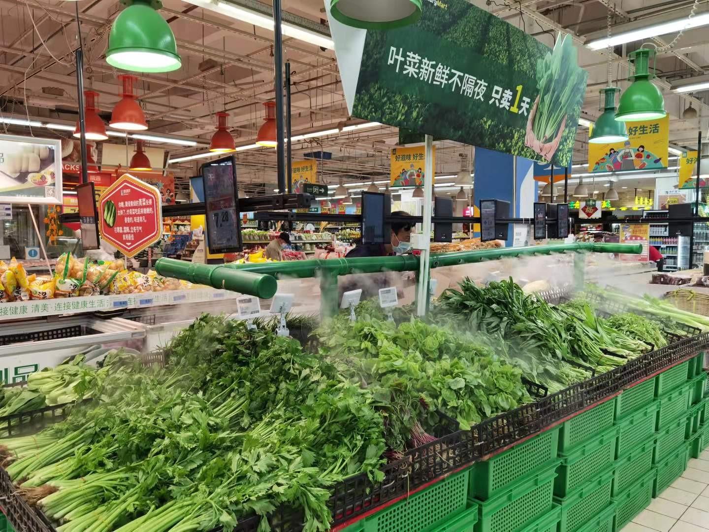 山東最新土豆價(jià)格行情概覽