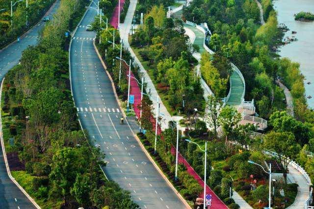 南平武夷新區(qū)最新動(dòng)態(tài)，日常趣事揭秘