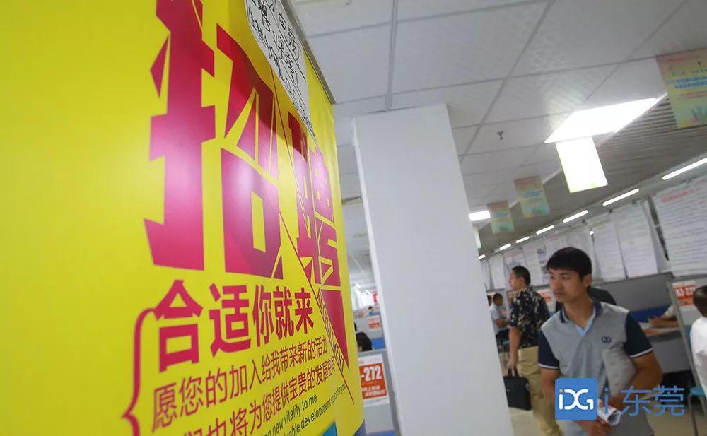 東莞當(dāng)納利最新招聘啟幕，開(kāi)啟職業(yè)新篇章！