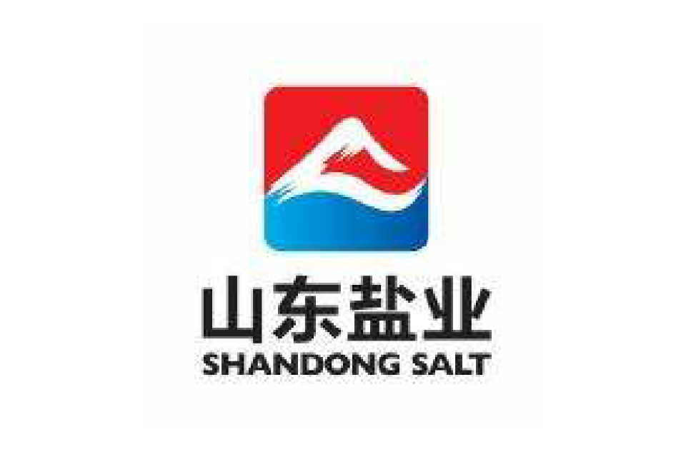 山東鹽業(yè)改革最新動態(tài)2025年展望，詳細(xì)步驟指南與最新消息解析