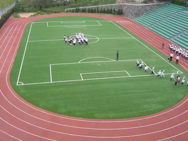 新鄉(xiāng)青云林海，自然之旅的呼喚，探尋內(nèi)心平和與喜悅的最新消息