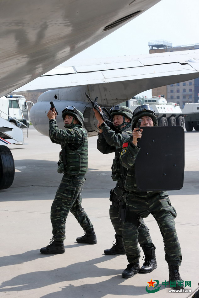 獵鷹突擊隊最新動態(tài)與技能學(xué)習(xí)步驟指南