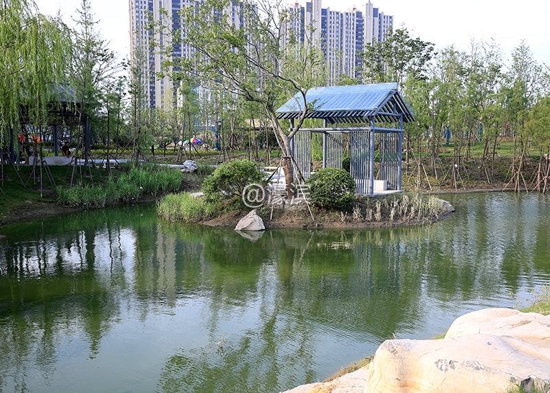 南通新橋公園最新動(dòng)態(tài)更新???