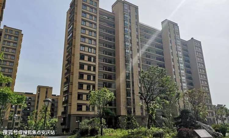 大港福居園最新動態(tài)更新