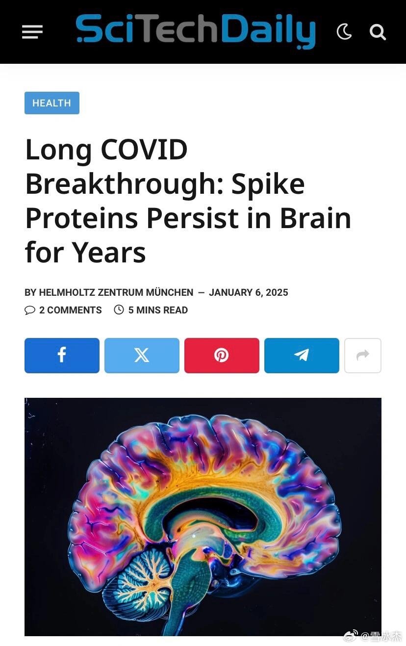 超越傳統(tǒng)認(rèn)知，最新大腦革新觀點(diǎn)揭秘