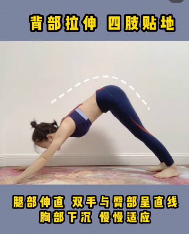 最新背法，高效記憶新時代引領(lǐng)之路