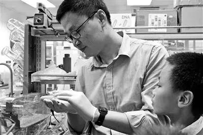 蘇最新博士帶你探秘小巷寶藏，特色小店的神秘面紗