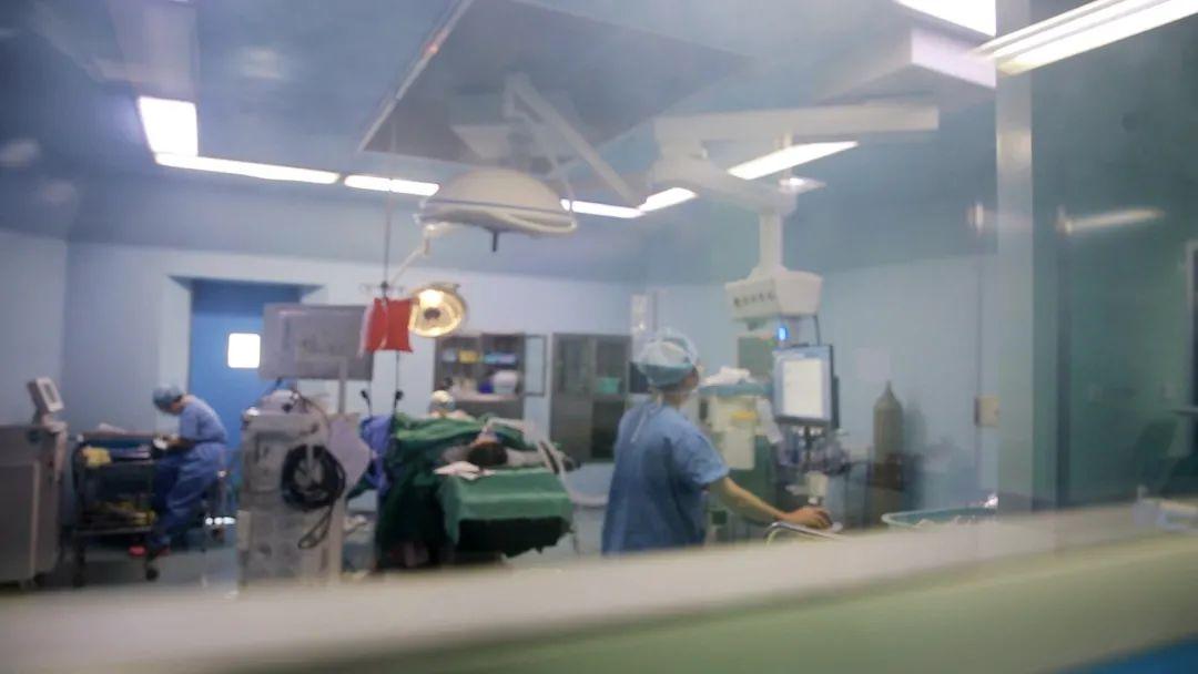 最新打工網，探尋自然美景，尋覓內心平和與寧靜的旅程