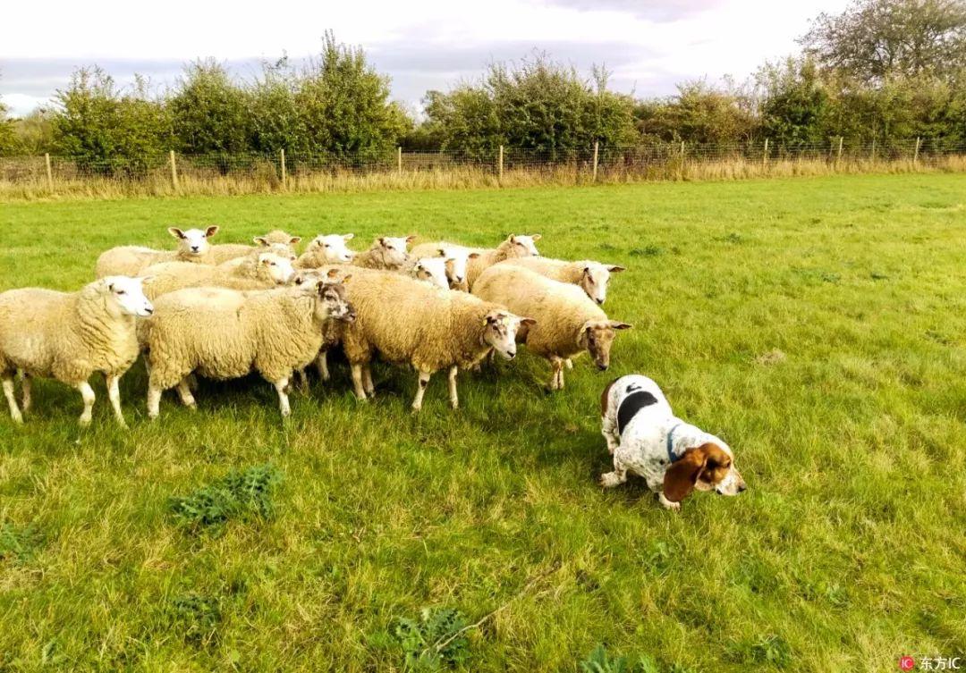 小城抗疫日常與溫馨故事，最新疫病報道更新