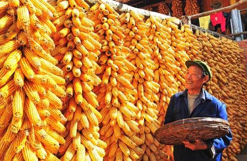 絞胎陶瓷工藝品開發(fā) 第74頁