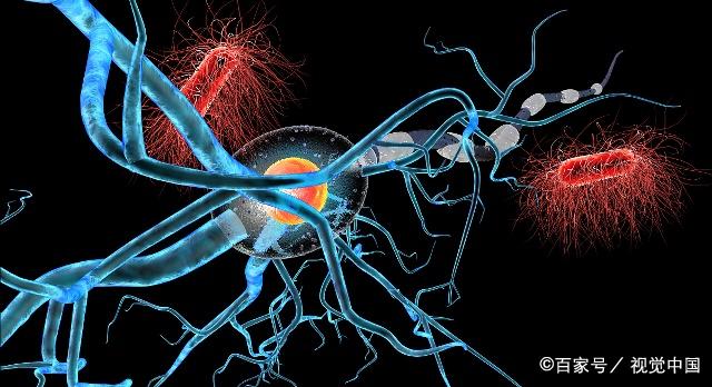 華山神經(jīng)干細(xì)胞最新研究動(dòng)態(tài)概覽