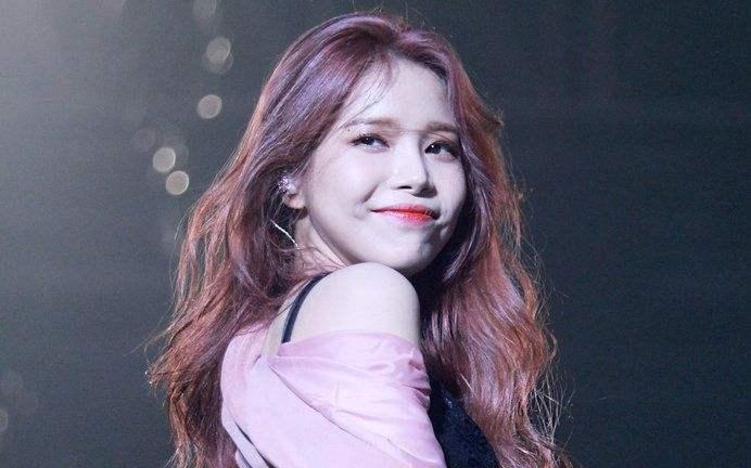 可頌夫婦最新動態(tài)，小巷深處的獨特風(fēng)情