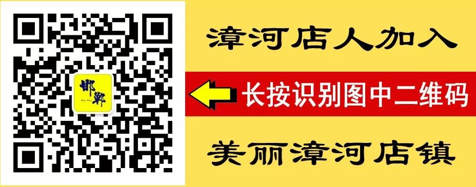 成安大樹灣最新動態(tài)探索與體驗步驟指南