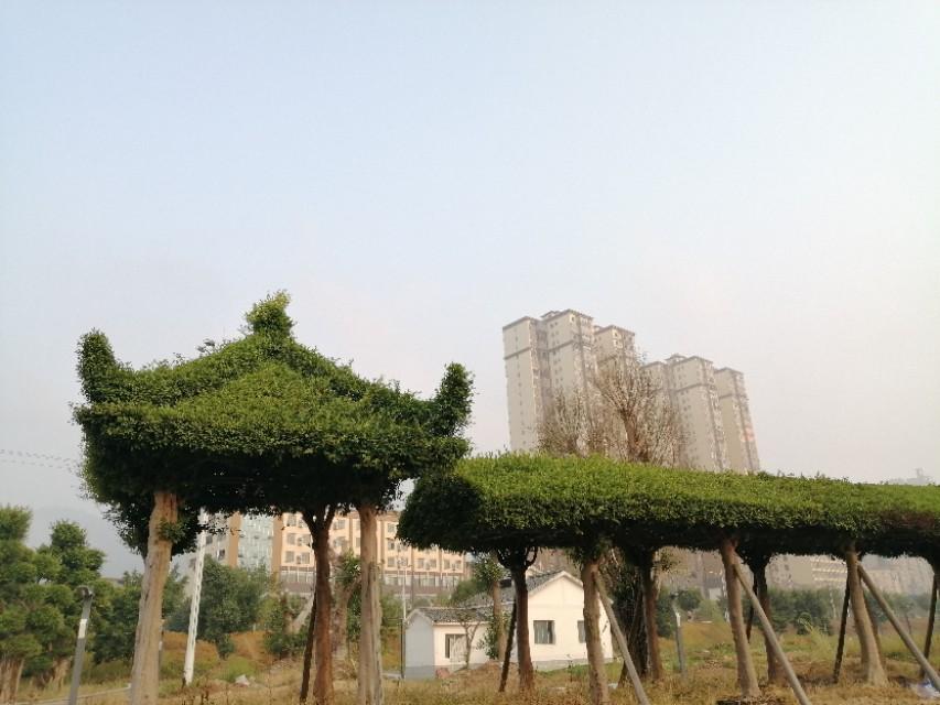 貴州榕江縣最新情況全面指南