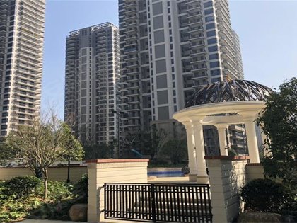 臨安美麗灣，探索自然美景，尋覓內(nèi)心平和之旅的最新動(dòng)態(tài)