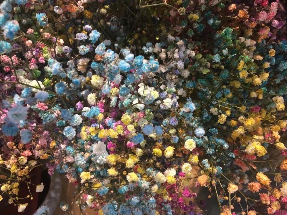 致深愛的你，日常趣事與溫馨陪伴的最新章節(jié)