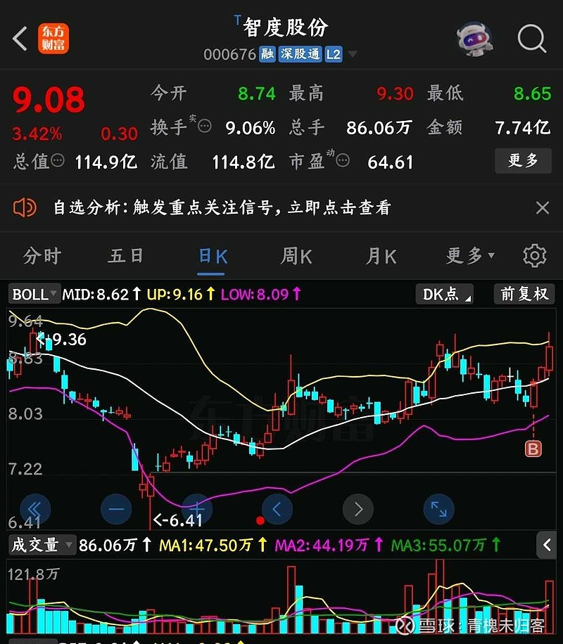 智度股份最新消息速遞，獲取指南全解析