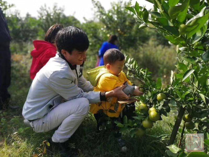 湖南常寧勝橋最新動態(tài)報道，新聞速遞????