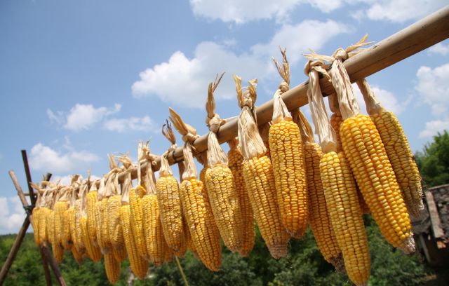 絞胎陶瓷工藝品研制 第4頁(yè)