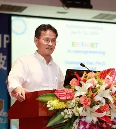 裴端卿最新動(dòng)態(tài)，時(shí)代印記與領(lǐng)域領(lǐng)航者的新進(jìn)展