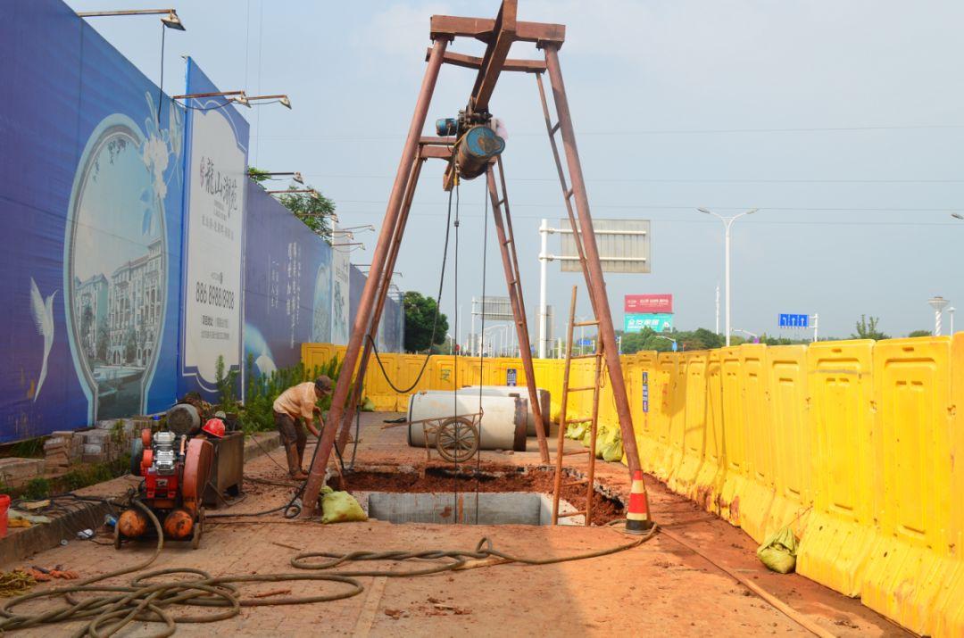 龍山湖苑最新動態(tài)揭秘，巷弄深處的獨特小店等你來探索！